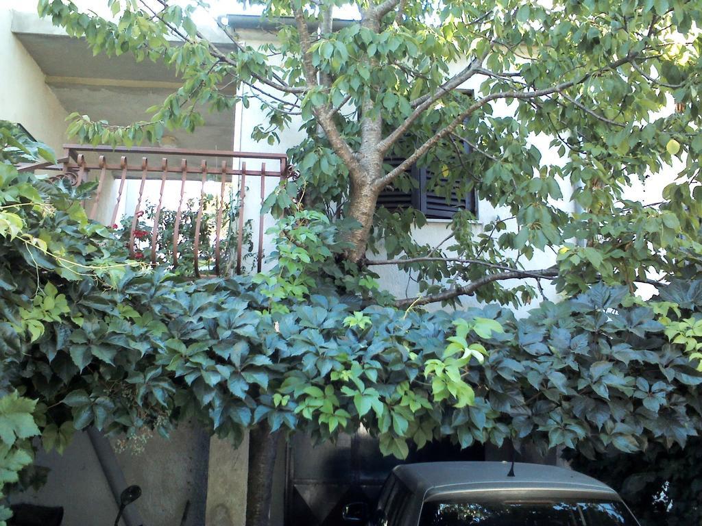 Apartment Artusi Пула Стая снимка